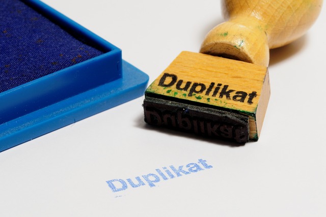 Qué hacer si el RUN es duplicado en el sistema