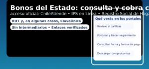 Bonos del Estado: consulta y cobra con tu RUT en portales oficiales (ChileAtiende, IPS en Línea, RSH)