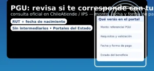 PGU: revisar con RUT en ChileAtiende/IPS — monto, requisitos y forma de pago