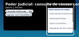 Poder Judicial: consulta de causas con tu RUT — pasos y límites (Consulta Unificada, ClaveÚnica)